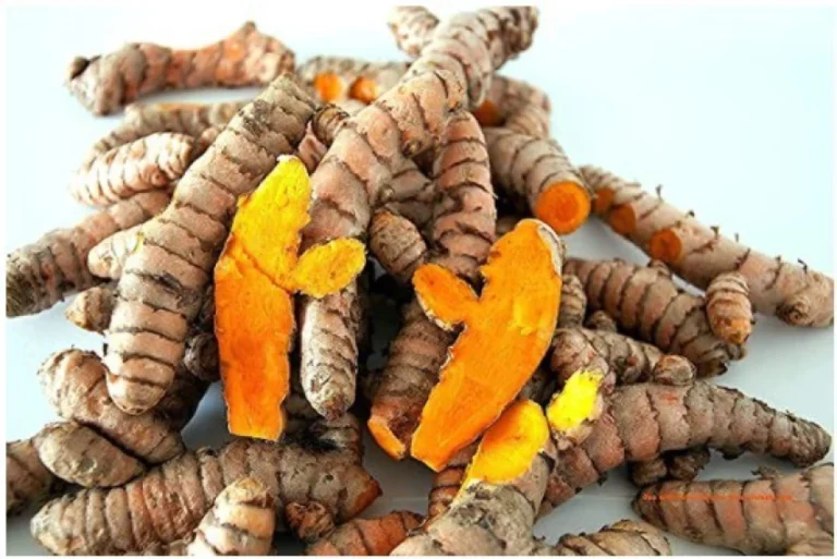 fresh-turmeric-roots-kachi-haldi-500g-kakran-organic-original-imagcgwhup6bjnqy